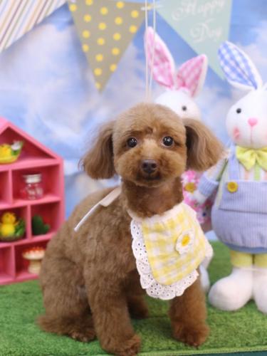 20240301永遠ちゃん